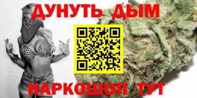 шишки Бийск