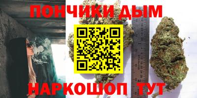 шишки Бийск
