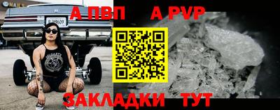 шишки Бийск