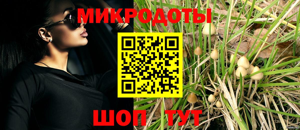 Галлюциногенные грибы Magic Shrooms Кизилюрт
