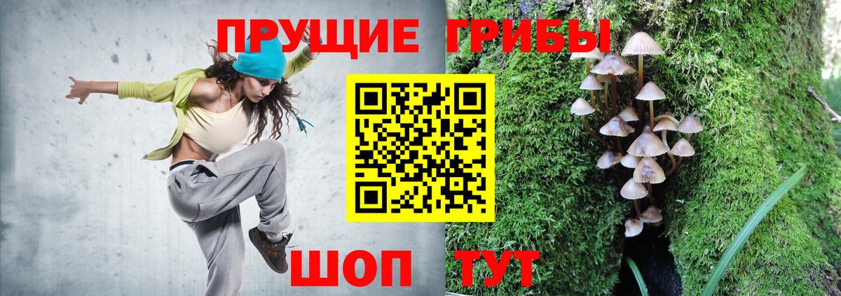 Кизилюрт  Псилоцибиновые грибы GOLDEN TEACHER  Вход с VPN 